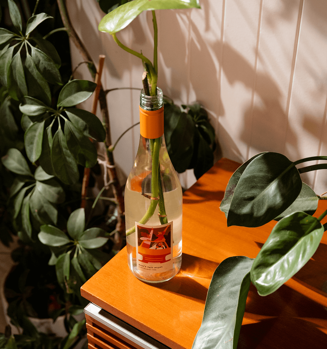 Eco-Friendly and Smashable? Yes, It’s Possible